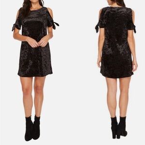 Sanctuary Velvet Dress